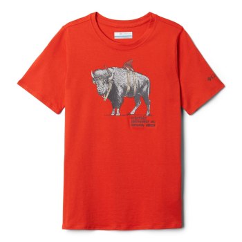 Columbia Peak Point, Camiseta Grises Oscuro Para Niño | 854627-WCU